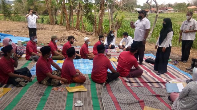 Petani Tembakau Sumenep Apresiasi Pelaksanaan Sekolah Lapang Pertanian Tanaman Terpadu