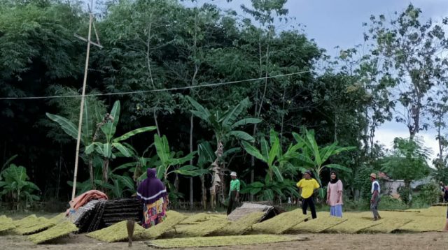 Pemkab Sumenep Gempur Rokok Ilegal dengan Permudah Perizinan