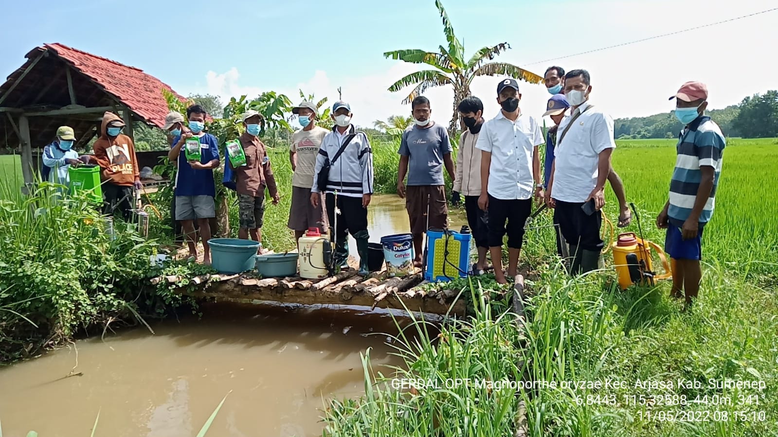 Gandeng Petani, Penyuluh Pertanian Arjasa Lakukan Penyemprotan Hama