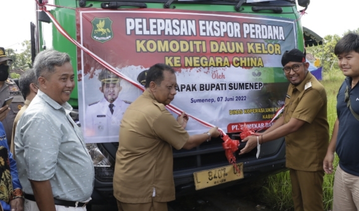 Bupati Sumenep Lepas Ekspor Perdana Daun Kelor ke China