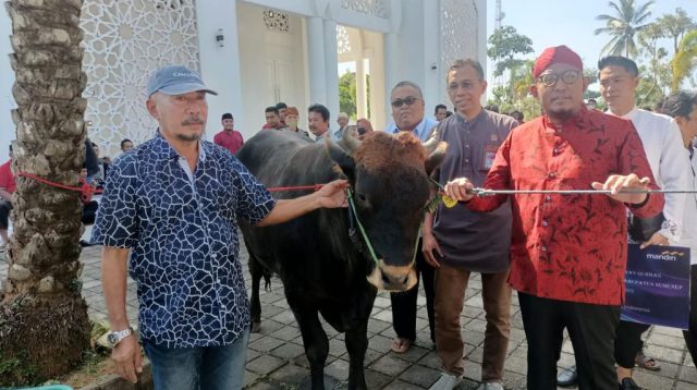 Yayasan Fathimah Binti Said Gauzan Bersama Said Abdullah dan DPC PDIP Sumenep Salurkan Puluhan Hewan Kurban