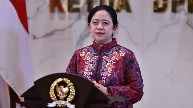 Puan Minta Pemerintah Tetapkan Kasus Gagal Ginjal Akut Sebagai KLB