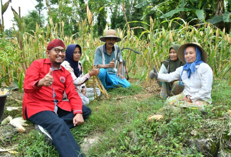 Pemkab Sumenep Jamin Kesejahteraan Petani Tembakau Melalui Program Asuransi Ketenagakerjaan